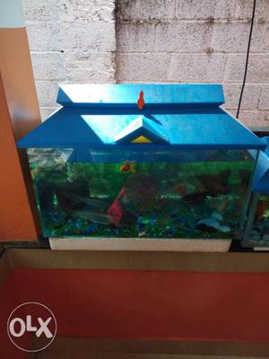 Fish tank for sale without fish 2•1feets