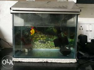 Fish tank size 12 x 10 x 8 inches. Includes 2