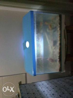 Fish tank with 5 fishes, fish food, airpump and light