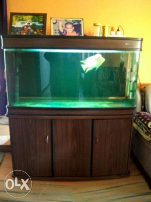 Fish tank with beautiful fish "Floran" (worth rs