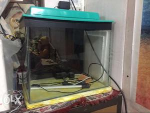 Fish tank with light