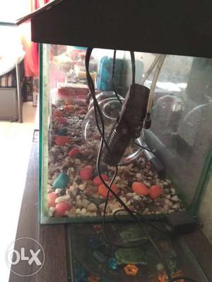 Fish tank with light, filter n stones