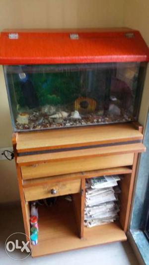 Full set of Fish Tank with gold fish,Sand,back