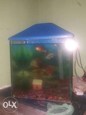 I sale my aquarium with pump & filter.