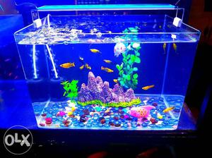 Imported aquarium crystal clear with bright LED