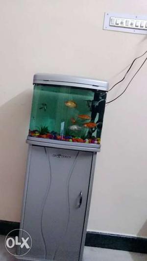 Imported fish tank. with stand. size L15 inch*W 8