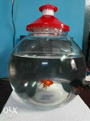 Large 14 inch brand new gold fish bowl.. 15