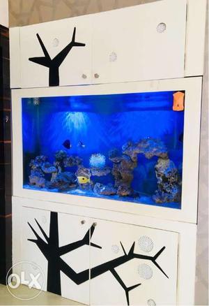 Marine aquarium