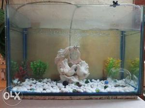 Only fish tank with upper body