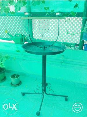 Pet Bird stand for sale