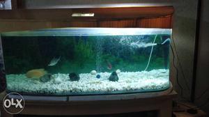 Rectangular Brown Framed Pet Fish Tank