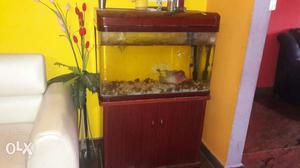 Rectangular Maroon Framed Fish Tank With Lower Cabinets