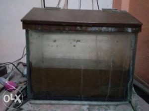 Small fish tank for Rs 250 with one shark fish