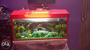 inches complete aquarium