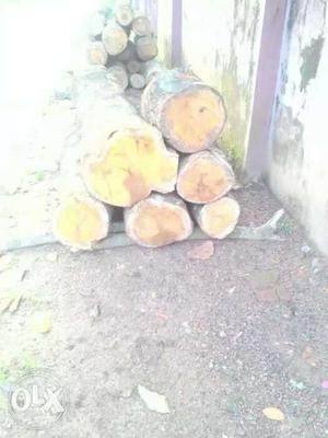 Brown Wood Stumps