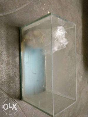 Fish tank small in good condition with colour