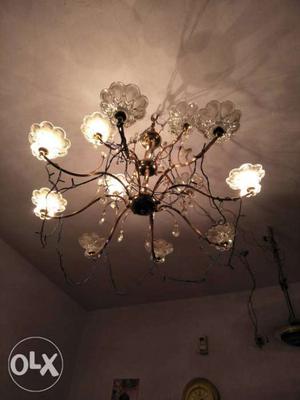 Crystal Chandelier Light and 12 Light