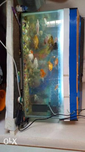 2.5 feet tank at lowest price 700rs only..i