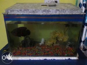 2 feet long aquarium almost New condition