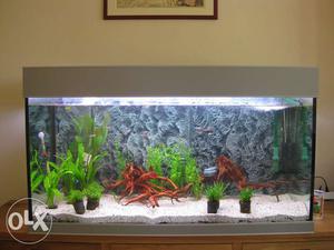 2×1fit,only for aquarium