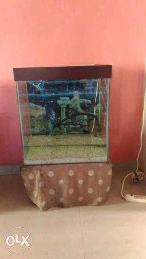 2ft x 2ft Aquarium with Light, Water Filter and