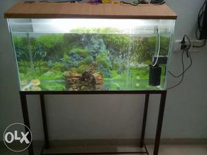 3 FT fish tank with stand,filtter,driefw