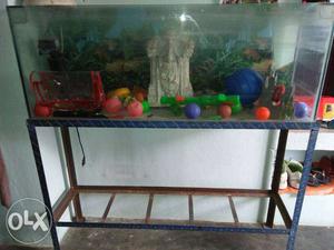 49" inch aquarium with iron stand