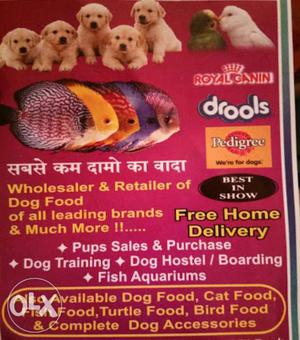 All Types of Pets accessories call For more
