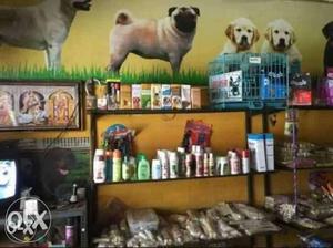 All pet's accessories food