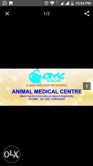 Animal Medical centre. A multispecialty pet