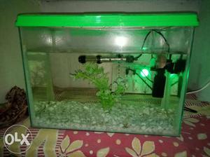 Aquarium Just One month Old Size 12*9 With Top