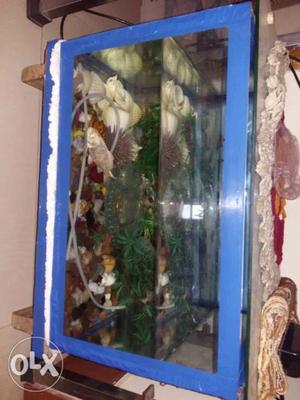 Aquarium for house.1.5ft × 1ft. with stones and