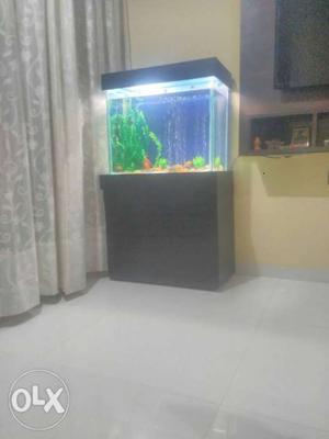 Aquarium for sale with stand only..