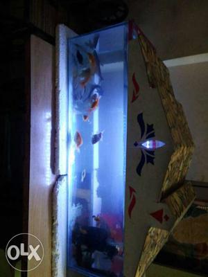 Awesome 20 fish's and fish tank and top with dust
