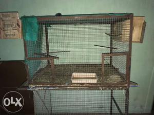 Bird cage sell