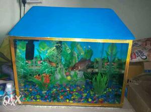 Brown And Blue Wooden Pet Tank