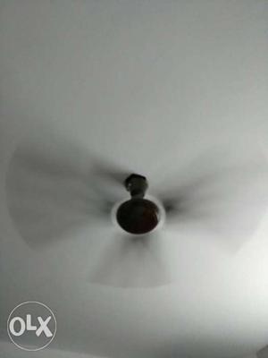 Crompton ceiling fan 2 years old for sale