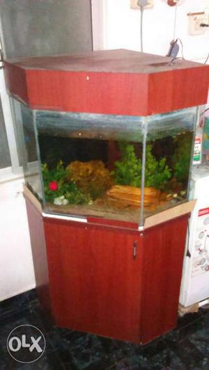 Customised fish tank for detail please call