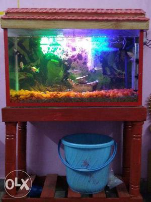 Fish Tank Sale With Top Cover And Stone