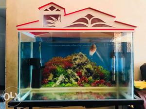 Fish aquariumand stand with vastu fish