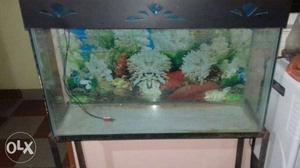 Fish tank 3ft and with strong iron stand
