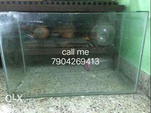 Fish tank for sale with shark fishes