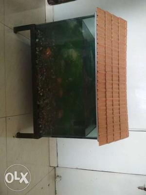 Fish tank with all accessories and 6 gold fish,