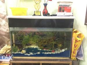 Fish tank with all usable items n wth all the