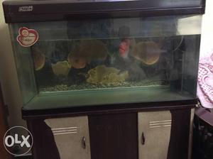 Fish tank(imported) for sales