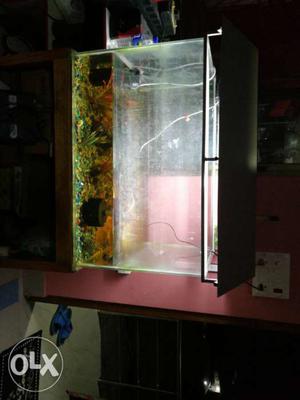 Gold Framed 3 X 2 FEET Fish Tank