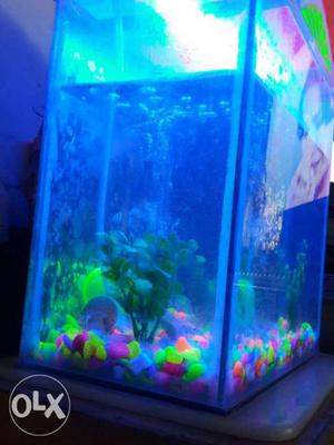 Good condition Aquariam with 2 fishes
