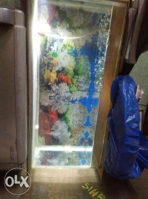I won't to sell my fish tank 2 ft 1ft in good