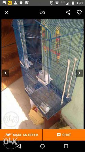 Imported big cage with one pair and breeding box