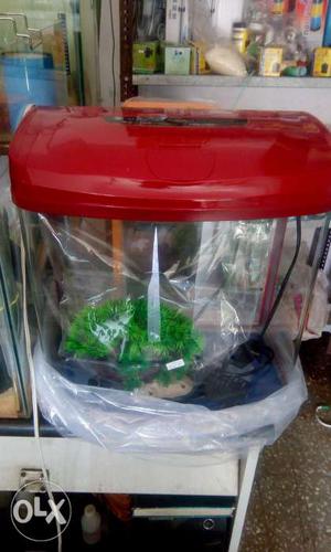 Low cost fish tank and fishes available. Tank set